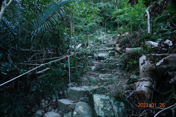屏東 獅子鄉 里龍山(里隆山、里瀧山、鯉龍山)、下里龍山2018529