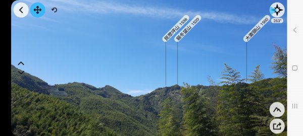 《南投》竹林台灣杉｜溪頭山竹崙山志騰山O繞202302182036069