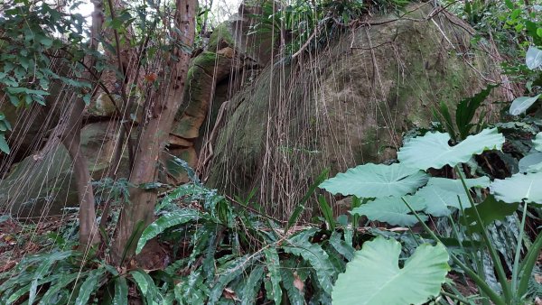 芝山岩步道 惠濟宮  石頭公廟 妙侊寺2087764