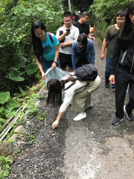 礁溪跑馬古道淨山一日遊422506