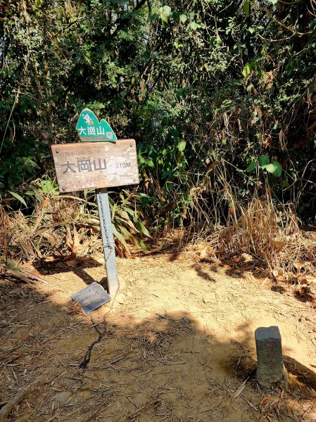 小百岳集起來-大崗山2184096