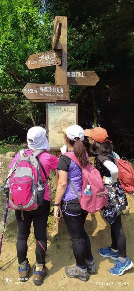 馬那邦山登山步道、雪霸國家公園1332522