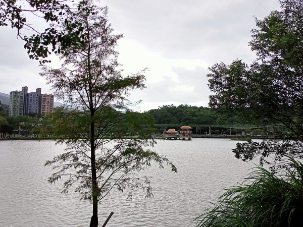 大港墘公園、大湖公園 (防災公園) - “非常愛尋寶”【走路趣尋寶，全臺齊步走】1883871