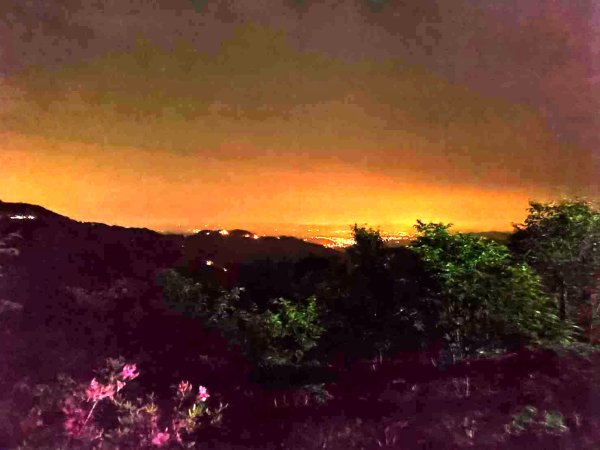 【油羅山/露營】 仙境舒活健走，雲端徜徉野趣！2887864