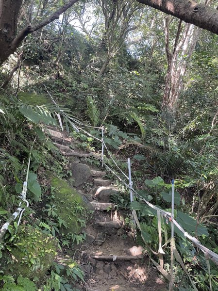 【鳶山山系】鳶山彩壁2858069