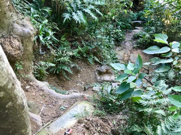 五寮尖上大風狂448881