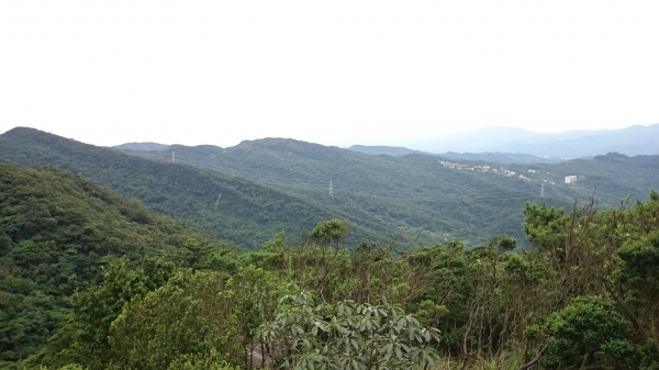 金明山+柯子林山（如意湖）48784