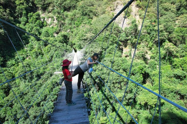 慢行霞喀羅(石鹿-霞喀羅大山-養老)700444