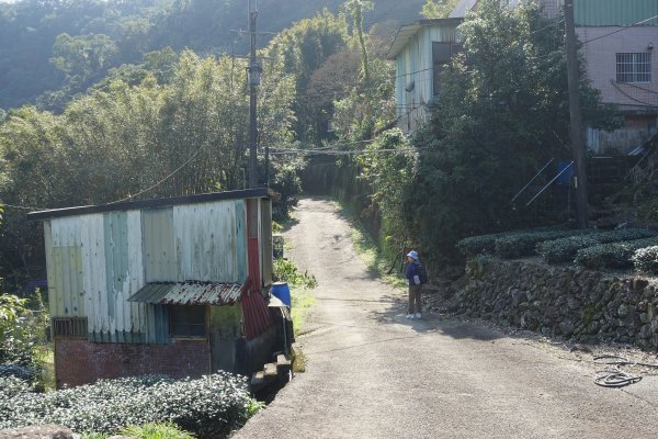 大舌湖步道 虎寮潭3086043