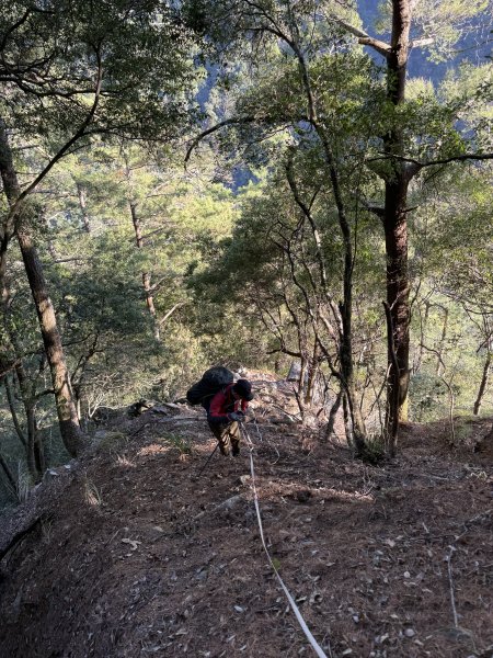 【沒有】【倚天劍】2985270