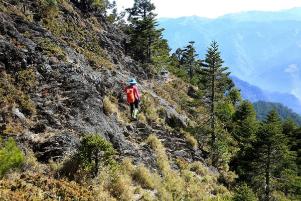 卓社大山 18連峰16235