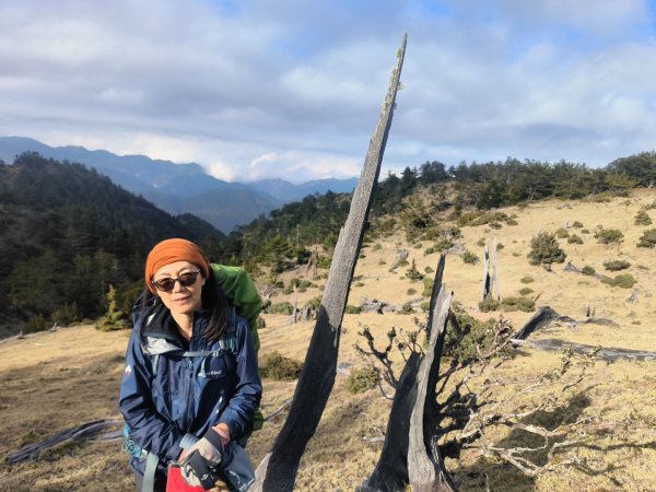 20240320 馬博8天縱走~第五天，馬里亞文路山，馬利加南山2471233