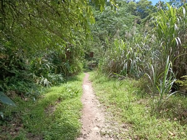雙溪區淡蘭山徑-燦光寮古道+貂山古道O型2774862