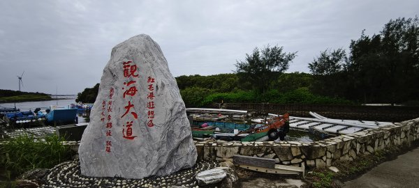 2026/06/28 新豐紅樹林生態保護區3079799