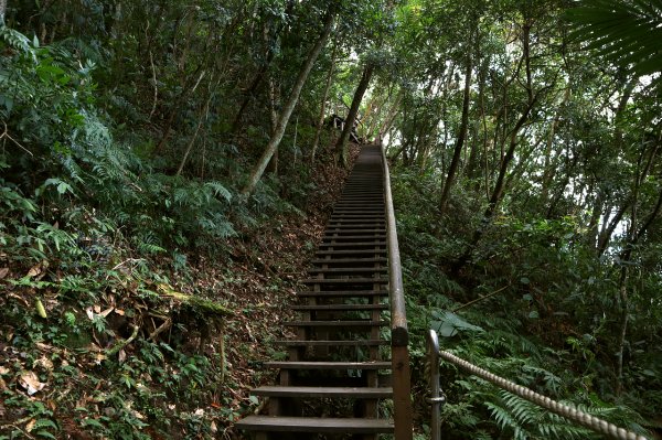 新竹竹東｜五指山金龜岩.猴洞步道｜奇岩巨石一線天．意料之外楓紅美景1574328