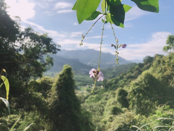 ~ 和美山步道 ~1085312