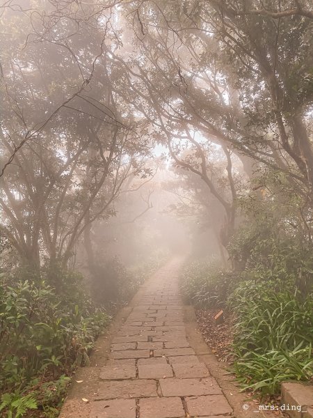 ＜小百岳＞新北市．觀音山(硬漢嶺)915028