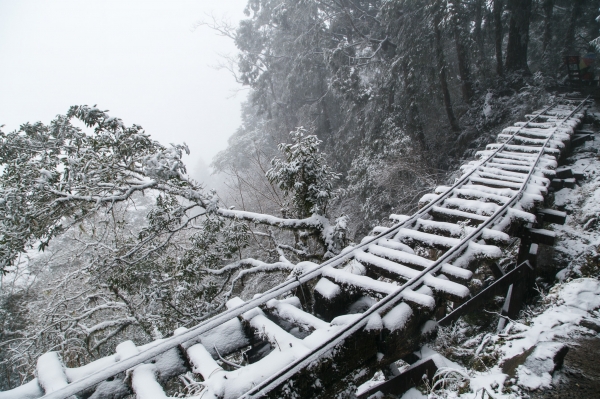 【攝野紀】雪中見晴264582