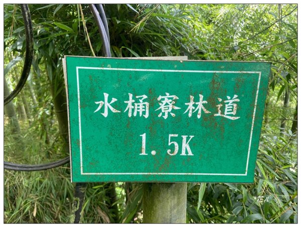 樟空倫山、大崙頭山、貓冬望山、民眾坪山 連走2839038