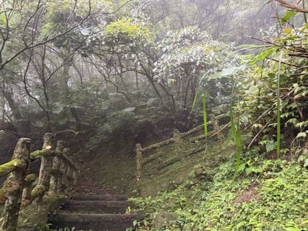 [微笑山線_第八段] 2026_0321 二格山系_二格山3020919