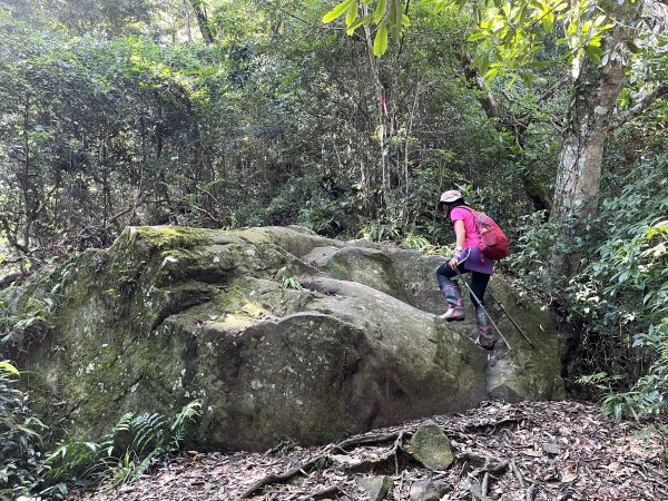 鵝公髻山-第一登山口來回-202408112573490