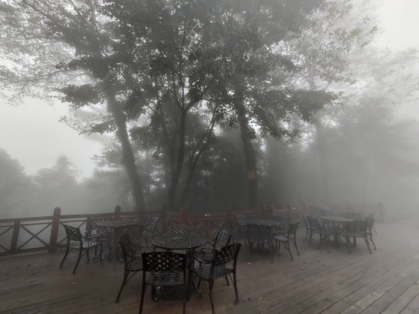 【新竹縣五峰鄉】雲霧步道2833758
