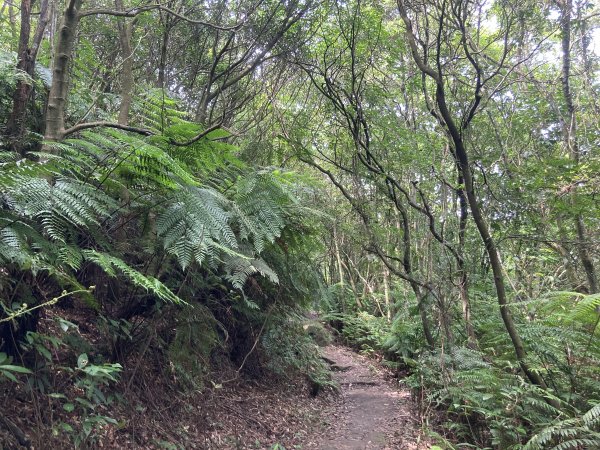 2022.07.31 【臺北大縱走第四段】大湖公園-風櫃嘴：圓覺寺瀑布、白石湖吊橋、碧山、梅花山1799375