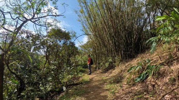 基隆東西天際線縱走(微加強版)2695557