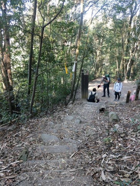 步道巡訪員│白毛山步道2月巡訪日誌848077