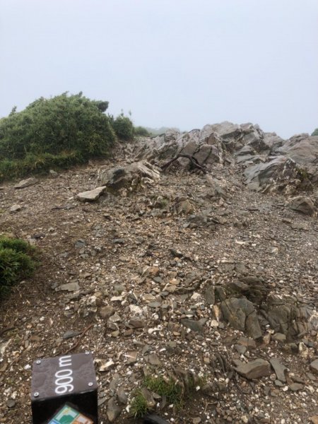 南投縣仁愛鄉 花蓮縣秀林鄉 合歡東峰672502