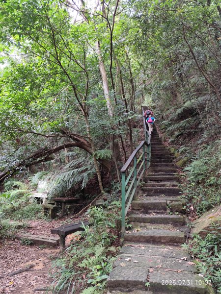 大湖公園→大溝溪生態治水園區→圓覺寺步道→圓覺瀑布→圓覺寺→鯉魚山步道【臺北大縱走 4、臺北健走趣】2849114