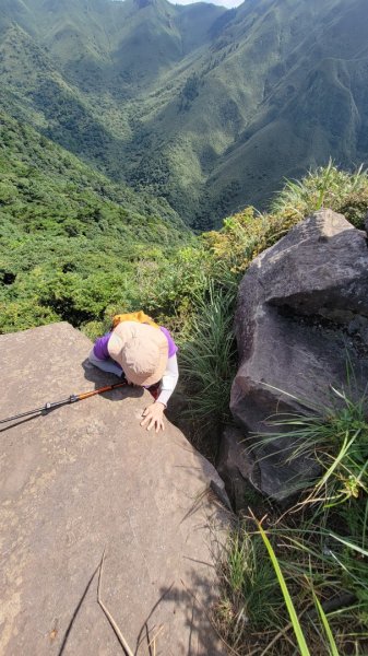 大屯溪古道清涼行-202407142601022