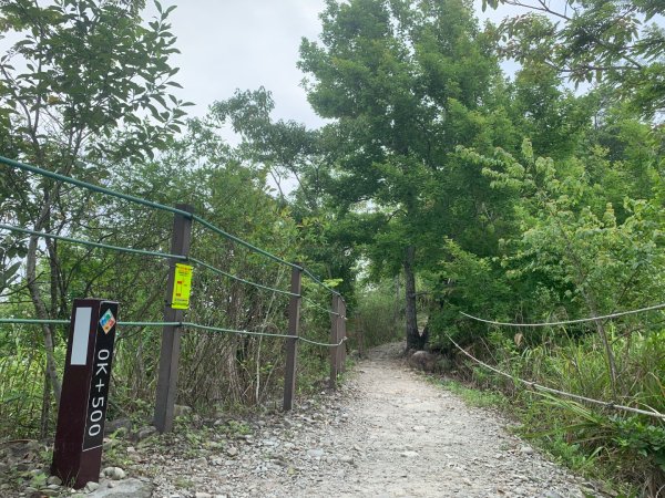 九九峰森林步道2769014