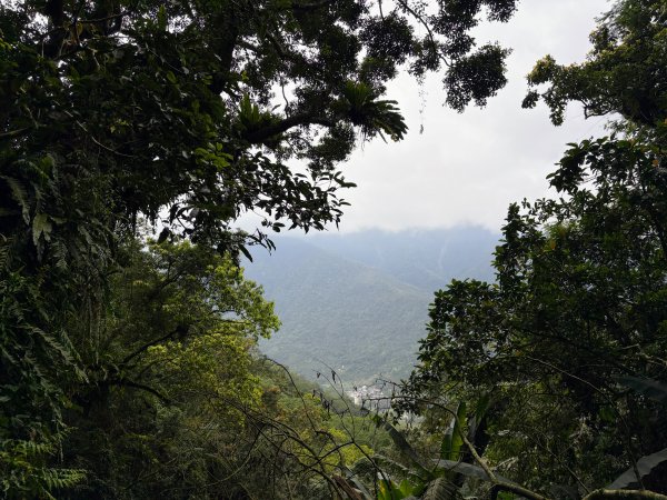 鯉魚山步道群2728330