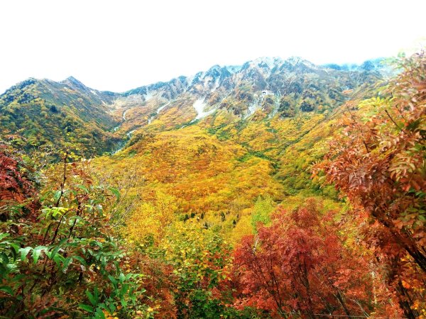 黑部立山秋行2933318