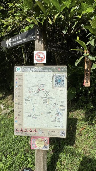 20250803枋山坑古道2850487