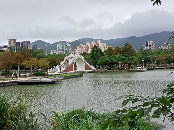 大湖公園 (防災公園)、台大椰林步道、大安森林公園《瘋狂愛尋寶》【南山神壽任務】【走路趣尋寶】1886450