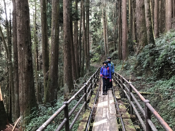 特富野的鐵道與旅人90279