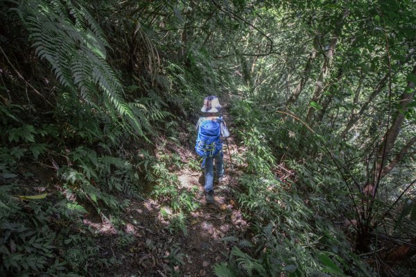 闊瀨古道-沿北勢溪谷而行的夏末之旅（淡蘭古道）2287655