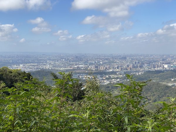 2024/01/16 鶯歌 大棟山 青龍嶺 新北市忠靈祠2429488