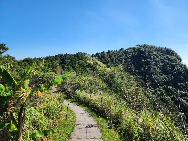 小百岳No.10⛰五分山2883155