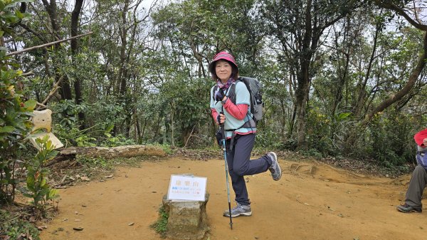 2025樂活夜櫻季搶先看，內湖樂活公園夜櫻季明天熱鬧登場，沿內溝溪3公里近距離欣賞寒櫻、昭和櫻、吉野2695706