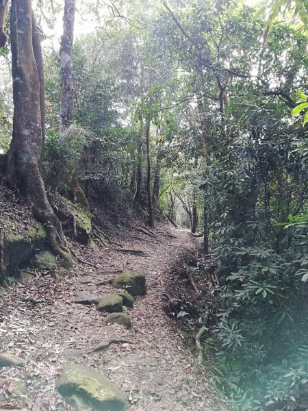 《楓》給您看 〜 馬那邦山469449