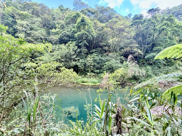 桶後越嶺道悠遊（烏來－礁溪）    2025.7.52827976