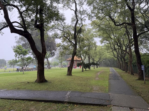 [樟之細路_第一大段RSA03] 2026_0329 石園3027041