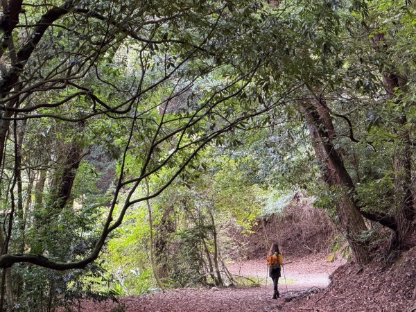 雪霸國家公園 雪見遊憩區 東洗水山2928546