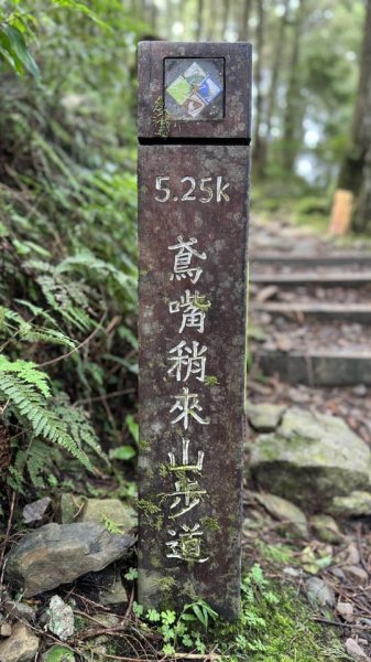 20240825小百岳稍來山2584170