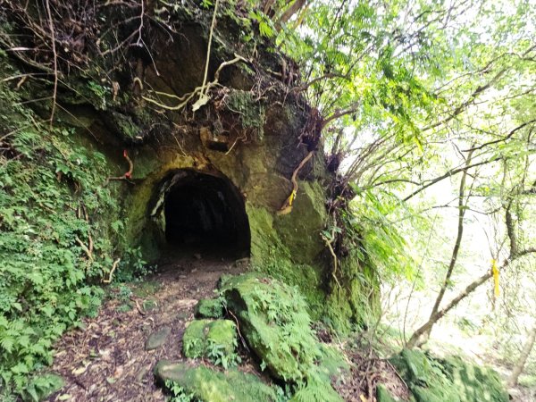 (五分山系)菁桐煤礦-2025微笑山線大縱走尋寶集章任務2855321