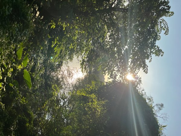 20231030_六寮古道、寶山水庫環湖步道2762937