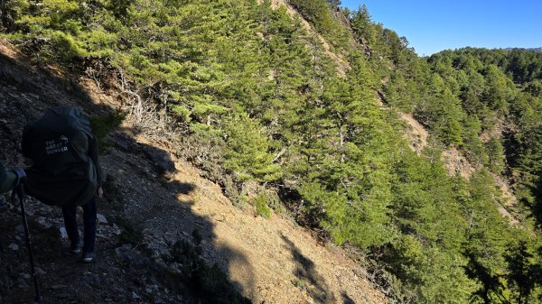20241124-1130 南二段10座百岳2665489
